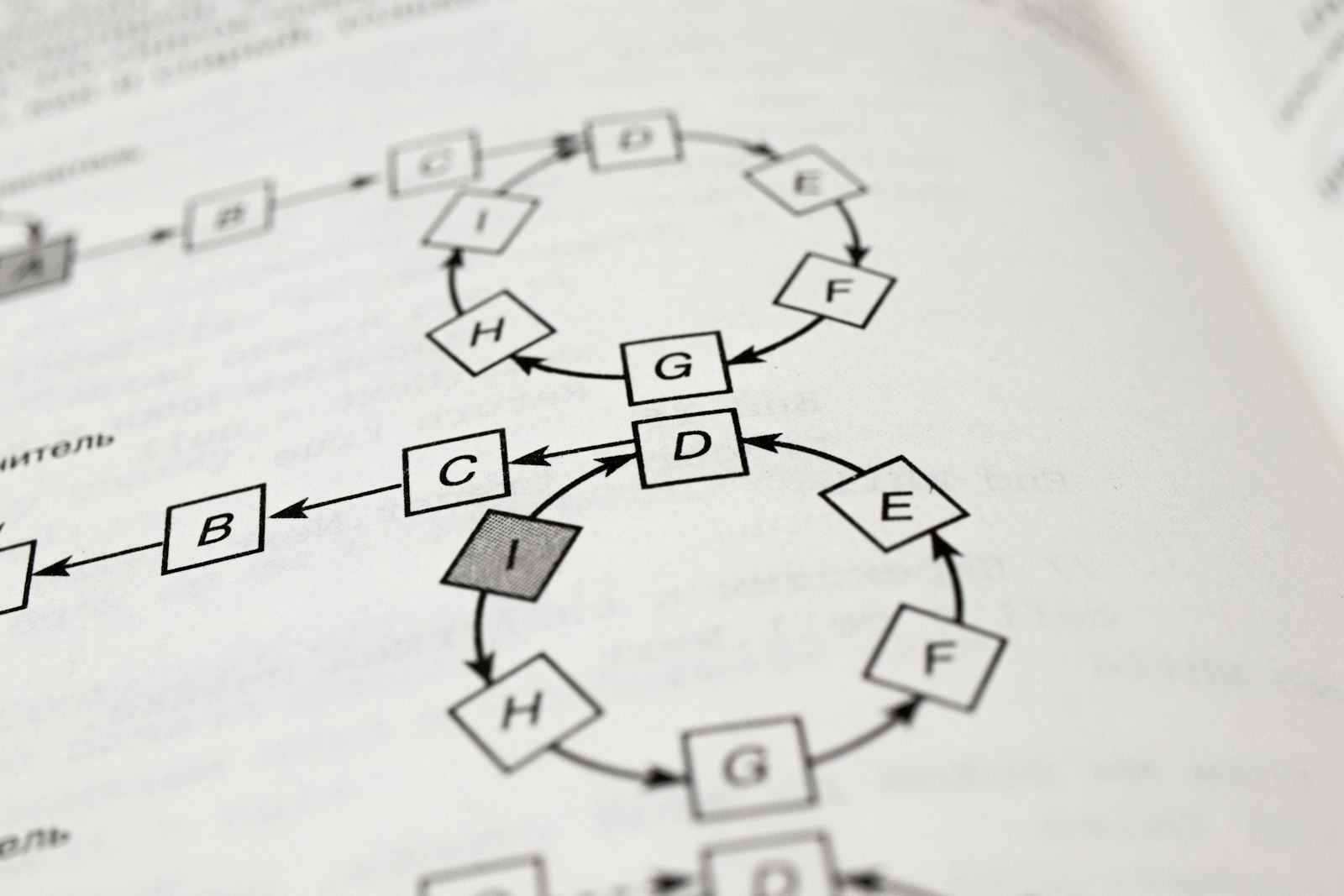A textbook diagram of lettered states joined by arrows into two loops